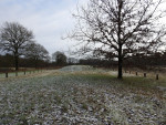 Hunebed van Mander